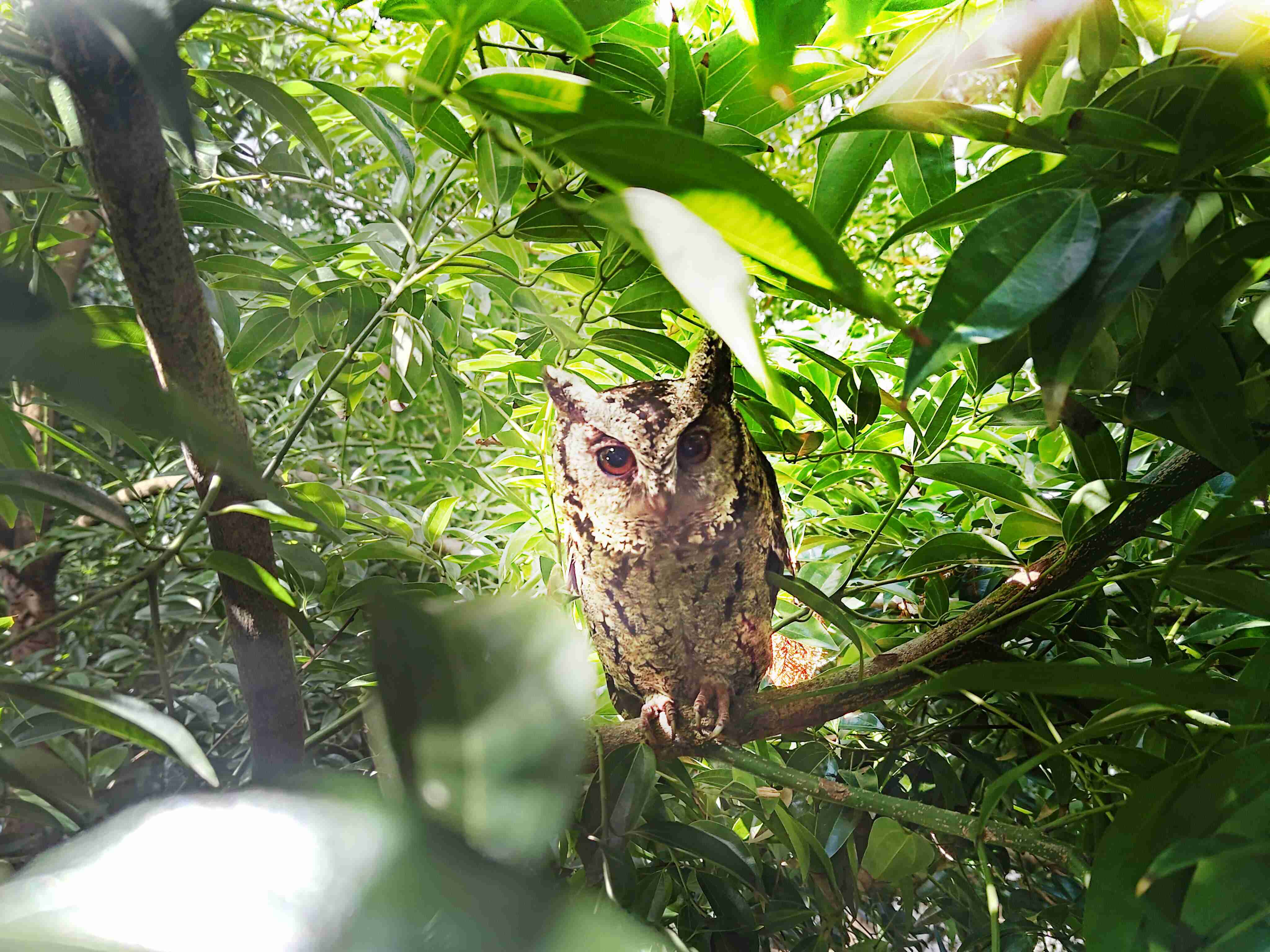 z6尊龙致力提倡净零绿生活，，，16年以来在全球各厂区植树逾百万棵，，造就各厂区树木蔚然成林，，犹如森林工厂，，，，成为许多生物的栖息地